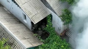 ����� ����������������� �� ���������� �� ��� ������� ������� ��������� �������� �� ��� � ���� ���������� ������ �������, �������������� � ���������� �������� ������