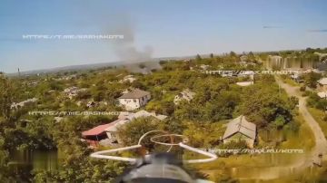 Александр Коц: Форсаж. Дружковка с высоты птичьего полета