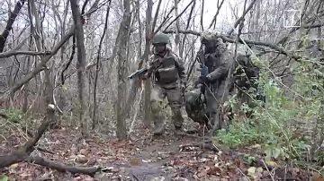 ��������� ���������� | ����� �����