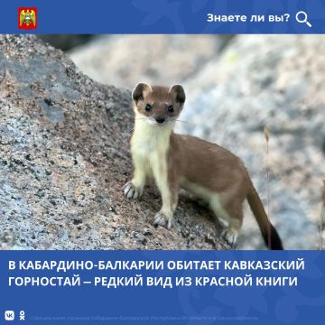 ������� ��������: ���������-�������� ��������� ���������� ��������� ��������, � ��� ����� ������ ���� ��������, ��������� � ������������ ����������� ����������