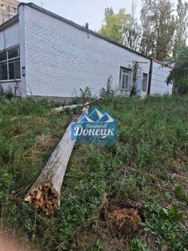 Деревопад продолжается в Донецке