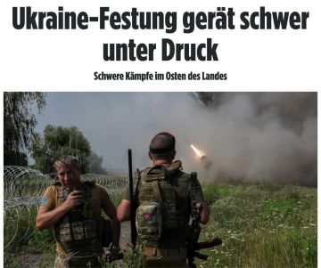 ������ ����������� � ��������� ������ ����� �� ����� ��������� ������ ����� �� ������ �����, ����� Bild