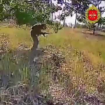 Эдуард Басурин: Финальная зачистка ВСУ на Краснолиманском направлении