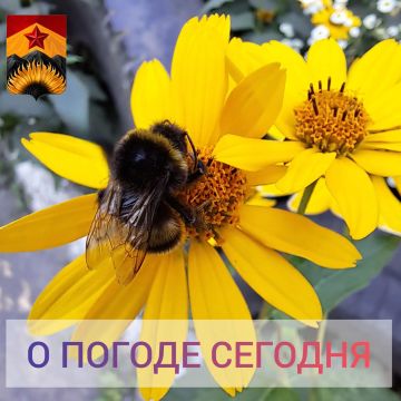 ������������� ������� � ������ � ���������� ������
