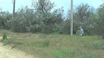 ��� ������ �� ���������� ���������� ������� �������� ��������� ������, ������������� ���������������� ���