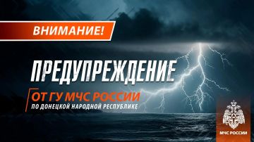 �����, ����� � ���, �� ��������� ��������� ���� �����, �����, ������ ����� �� 14 �/�, ��������� 11 �������