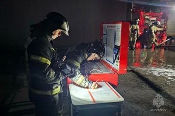 МЧС за сутки ликвидировано 63 пожара, в том числе 43 - ландшафтных