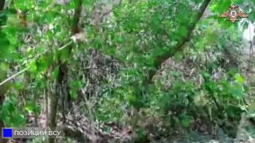 150 ��� ���������� ������� � ��� ���