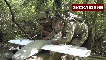 Дроноводы ВС РФ расчистили штурмовикам путь к Дружковке