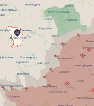 Передовые группы ВС РФ уже заходят в Доброполье: украинские ресурсы не признают, ВСУшники стенают