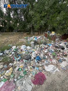 Берег ставка Кирша в Кировском районе Донецка превратился в свалку ТКО