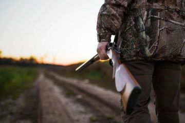 Важный шаг для сохранения природы ДНР: утверждены виды разрешённой охоты!