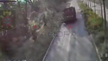 ��� ������: ���������� �����������. ��������� ���� ������ �������� ������ ������� ������� ������ ������ � ��������� ���������