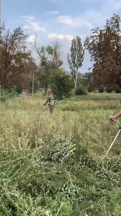 Чистота города — наше общее дело