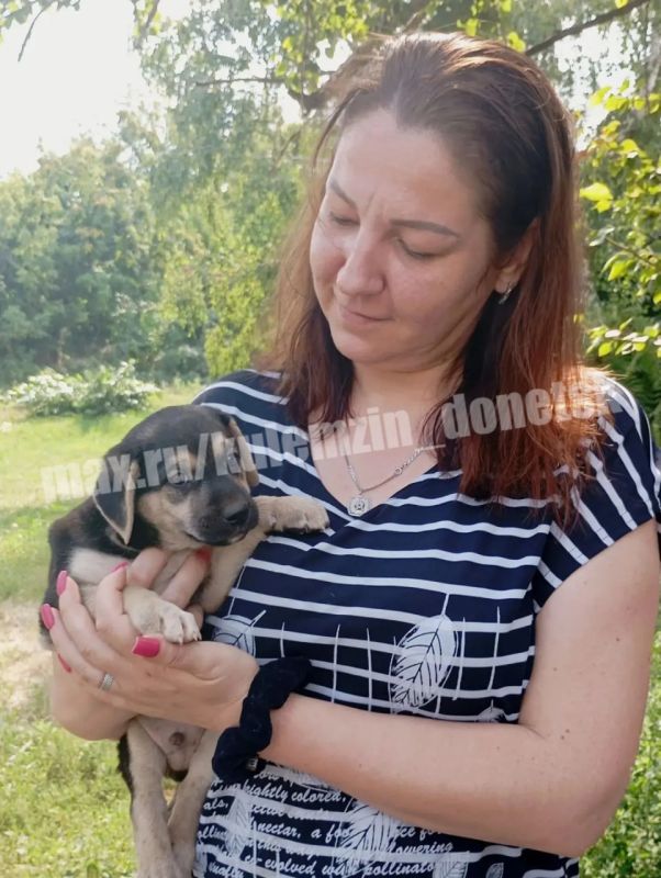 Предприятие «Животные в городе» стремится подарить бездомным животным шанс на счастливую жизнь, ежедневно прилагая все усилия, чтобы помочь им обрести дом и семью, где их будут любить и беречь