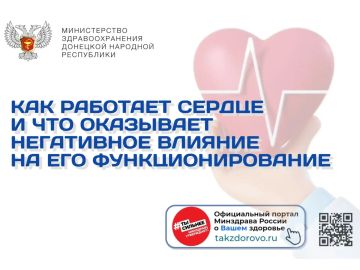 Как работает сердце и что оказывает негативное влияние на его функционирование?