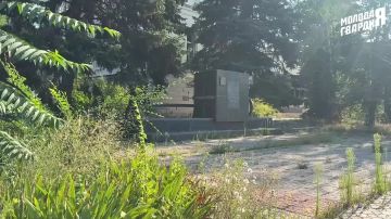 �������� ������� ������: ��������� �� �������� ������� � ���������