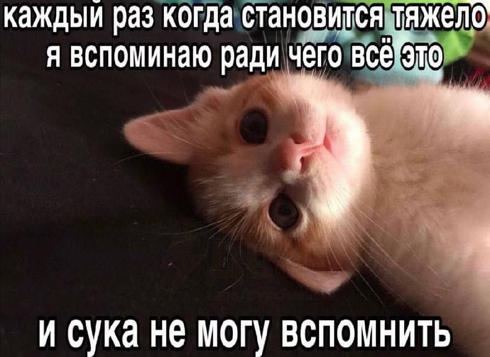 Добавить нечего. Прислать новость/жалобу