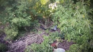 ���� "�����", ������� ���������� ���������� �������� ������� �� ���������������� ���������� � ��������