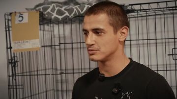 Авдеевский «боевой кот» обрел дом у ветерана СВО