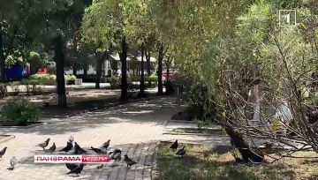 Если хочешь быть здоров — проверяйся! Диспансеризация в ДНР