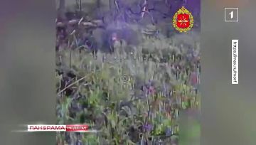 ��������� �������������: ����� ������ �������� � ������ ����� � ���������� �����������! 15.08.2026. ��������� ������ � ������� �������
