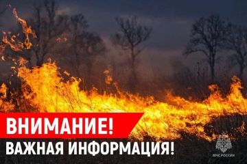 ������������ ��������������� (5 �����) � ����������� ������� ���, � ������-��������� ������� � ��������� ������� ��������������� (4 �����) ��������� 14-16 �������