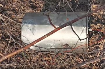 Росгвардейцы обезвредили 224 взрывоопасных предмета в ДНР