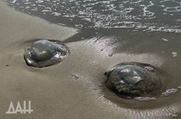 ��� �����, ��� �����: ��������� ����� � �������� ���� ��������� ��������������