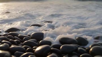 ����� �������: �������� ������������: � 15 �� 31 ������� 2026 ���� � �������� �������� ���������� �������� ���������� ������ ���������ʻ