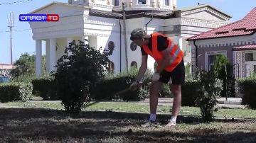 ��� � 14-17 ��� ����� ������ �� ���� � ������� ������ ���������