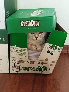 Кофис менеджер Даша корпит над отчетами