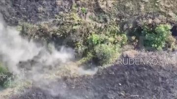 ������ �������: ����� ������ ������ ������������� ������ ����������� ����� � ���� ������������ �.� ���������� � ���