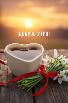 �������� ���. ����������� ���� �������������