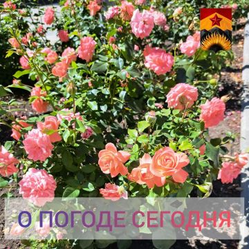 ��������� �����: ������������� ������� � ������ � ���������� ������