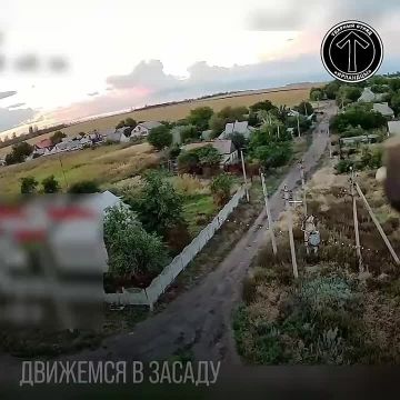 Владислав Шурыгин: Любителям прятаться в кустах мы скажем: «Кусты приватизированы!»