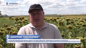 От поля до тарелки: как пестициды могут влиять на урожай?