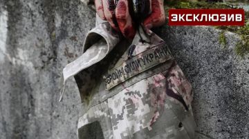 ��������* ���������� � ������� ���� ������� ������������������ � ������