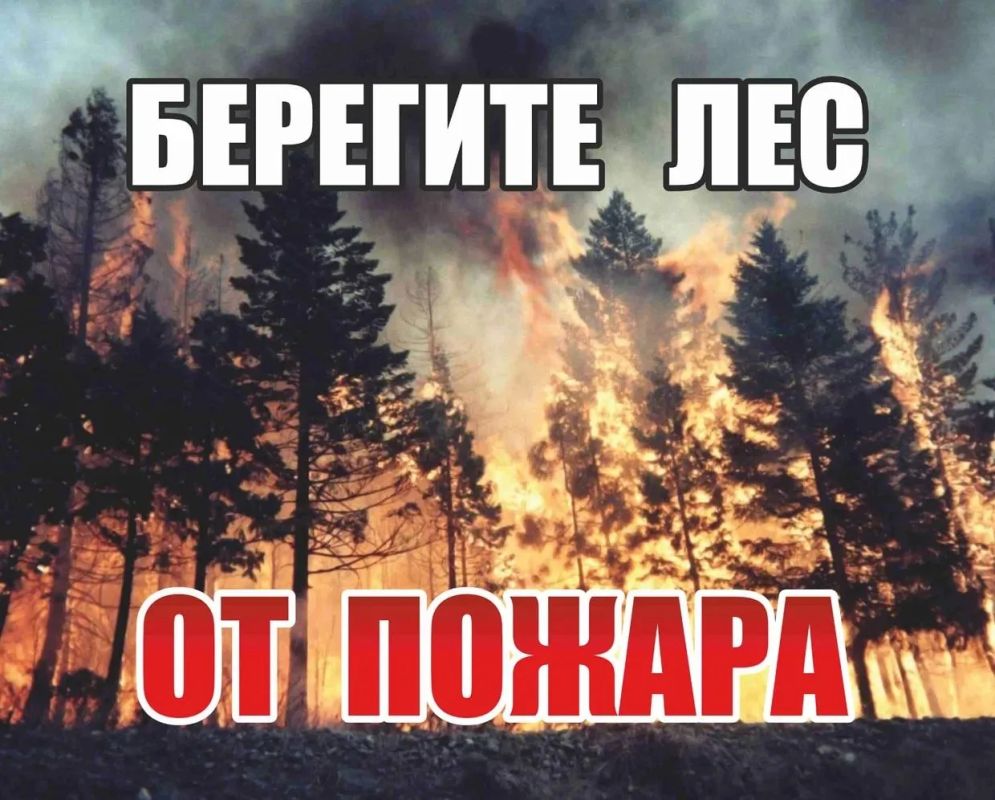 Минприроды ДНР напоминает: берегите лес от пожаров!