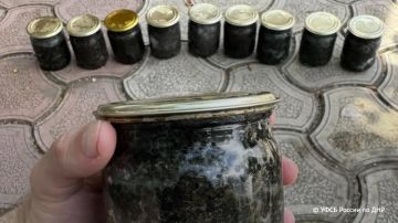 Жителя ДНР задержали за вылов краснокнижного осетра и продажу черной икры, сообщили в УФСБ России по региону