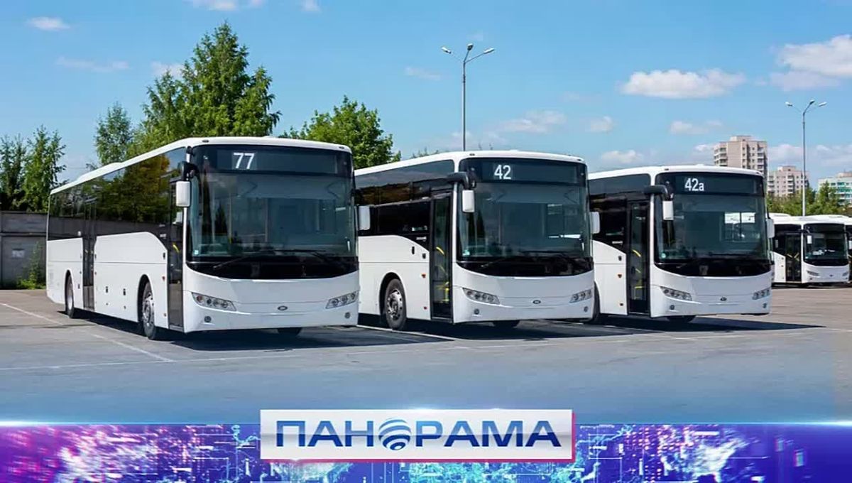 Вместо 20 минут – теперь 40: почему дорога в Петровском районе стала дольше?