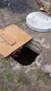 �� ������������ � ������� � ��� � �������������� ����� ������ ���������� �����