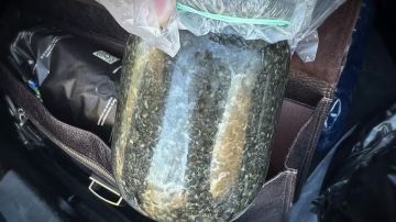 Сотрудниками УФСБ России по ДНР и Росгвардии задержан подозреваемый в незаконной добыче краснокнижных видов рыб