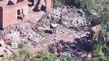 "��� ���� ���������� ��������": ���������� ������� 33-�� ��������������� ����� ����������� "�����" ���������� ����������� ������������ �������������� � ���