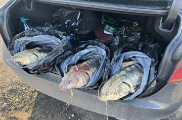 ��� � ���������� �������� ����� ���������� ������ ����� ������ ����� ��� � ���