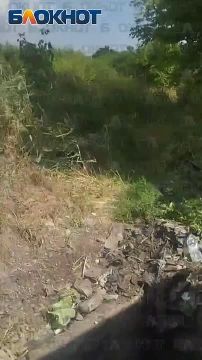 ����� �������� �������� ���� �� ��. ��������� � ��������� ������ �������, �� �� ����� �������