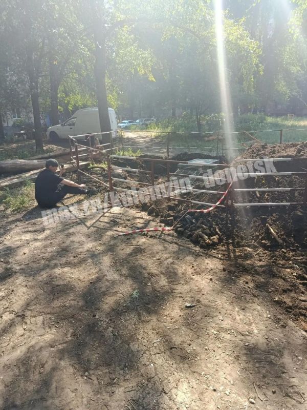 В Кировском районе прошла совместная операция по спасению животных