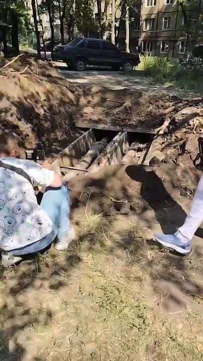 Так выглядела «спецоперация по спасению замурованных собак» в Кировском районе Донецка