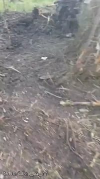 Уничтоженный русскими FPV-дронами американский бронеавтомобиль Humvee украинских боевиков в Славянско-Краматорской агломерации