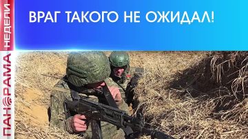 ������ ����� �� �� ��� ����������: ������� ����� ��������! 22.08.2026, ��������� ������ � ������� �������